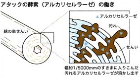 花王 製品q A 洗たく用洗剤に入っている酵素とは