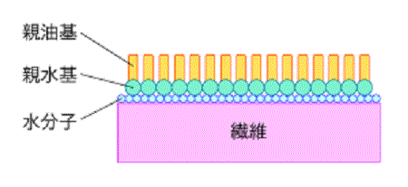 水にぬれて表面に水分子が並んだ繊維に、柔軟剤の界面活性剤の親水基が吸着し、親油基が外側に並んだ状態のイメージイラスト