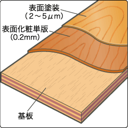 基板の上に0.2㎜の表面化粧単板、その上に2～5μmの表面塗装がある。